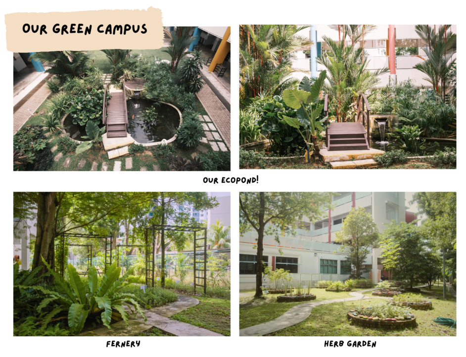 Our Green Campus